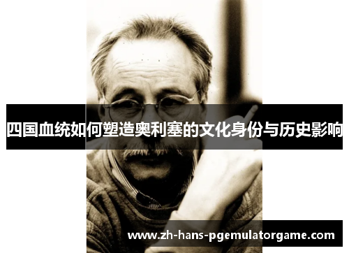 四国血统如何塑造奥利塞的文化身份与历史影响