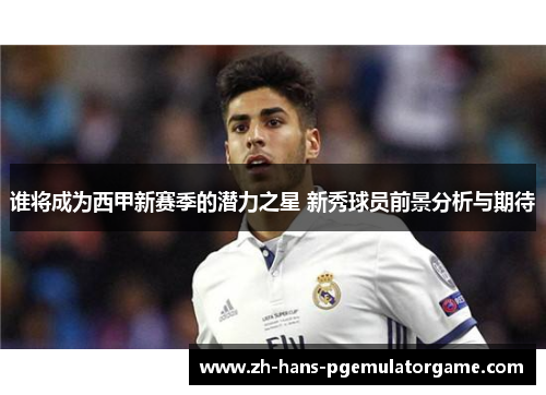 谁将成为西甲新赛季的潜力之星 新秀球员前景分析与期待