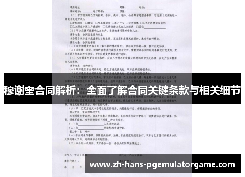 穆谢奎合同解析：全面了解合同关键条款与相关细节