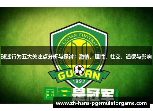 球迷行为五大关注点分析与探讨：激情、理性、社交、道德与影响