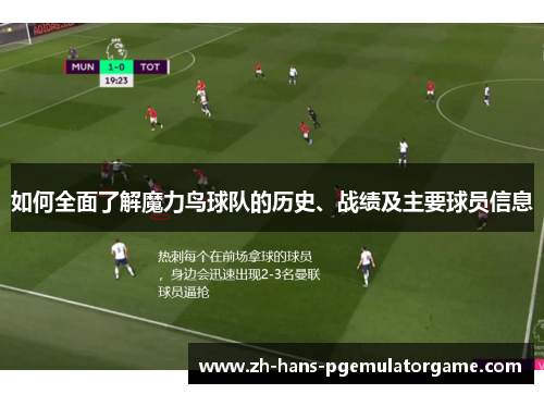 如何全面了解魔力鸟球队的历史、战绩及主要球员信息