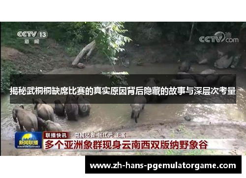 揭秘武桐桐缺席比赛的真实原因背后隐藏的故事与深层次考量