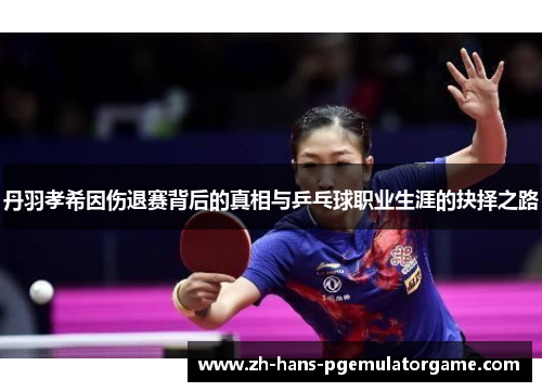 丹羽孝希因伤退赛背后的真相与乒乓球职业生涯的抉择之路