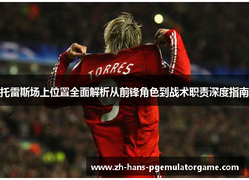 托雷斯场上位置全面解析从前锋角色到战术职责深度指南