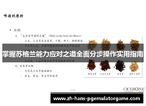 掌握苏格兰能力应对之道全面分步操作实用指南