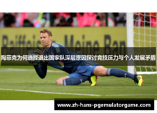 陶菲克为何选择退出国家队深层原因探讨竞技压力与个人发展矛盾 陶菲克为何选择退出国家队深层原因探讨竞技压力与个人发展矛盾