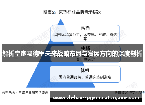解析皇家马德里未来战略布局与发展方向的深度剖析