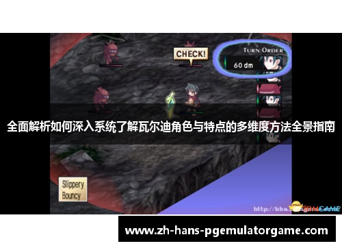 全面解析如何深入系统了解瓦尔迪角色与特点的多维度方法全景指南