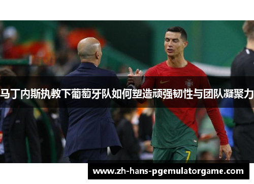 马丁内斯执教下葡萄牙队如何塑造顽强韧性与团队凝聚力