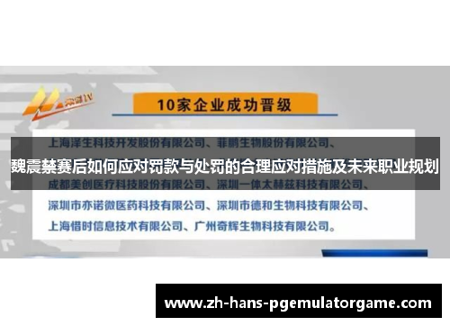魏震禁赛后如何应对罚款与处罚的合理应对措施及未来职业规划